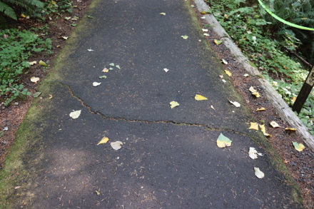 Paved surface – crack across paved trail – lip at edge of paved trail and natural surface